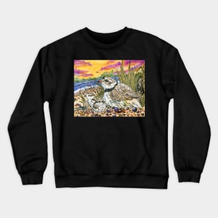 Piping Plovers and Chicks Crewneck Sweatshirt